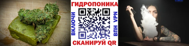 Cannafood конопля  Купить где  Кувандык 