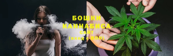 эйфоретик Дмитриев
